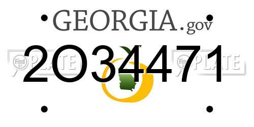 2O34471 Georgia License Plate