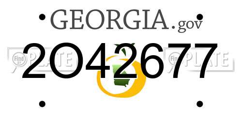 2O42677 Georgia License Plate