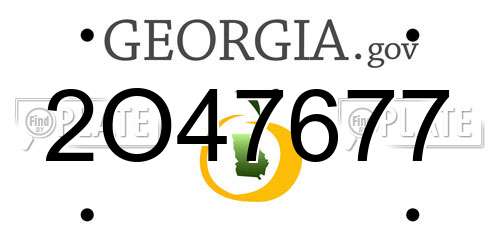 2O47677 Georgia License Plate