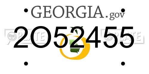 2O52455 Georgia License Plate