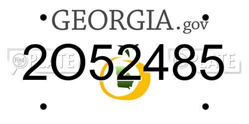 2O52485 Georgia License Plate