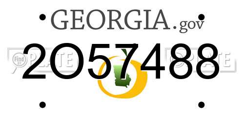 2O57488 Georgia License Plate