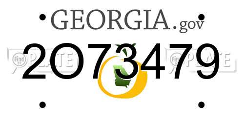2O73479 Georgia License Plate
