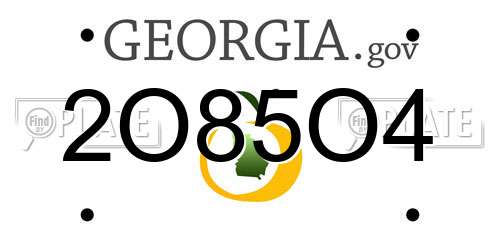 2O85O4 Georgia License Plate