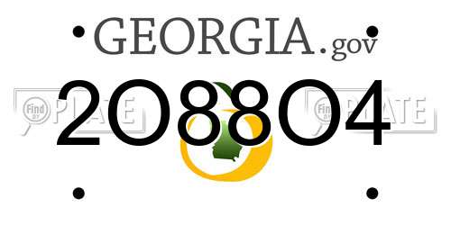 2O88O4 Georgia License Plate