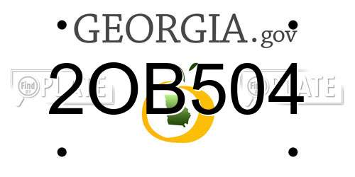 2OB504 Georgia License Plate