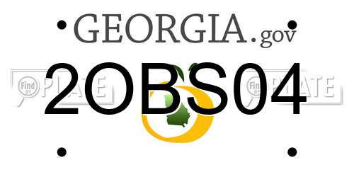 2OBS04 Georgia License Plate