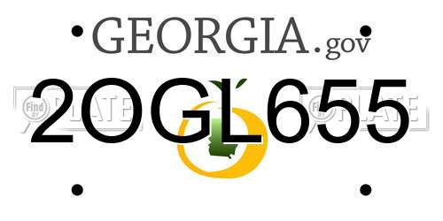 2OGL655 Georgia License Plate