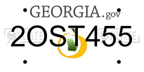 2OST455 Georgia License Plate