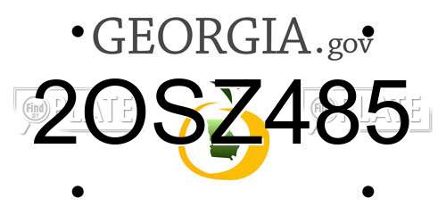 2OSZ485 Georgia License Plate