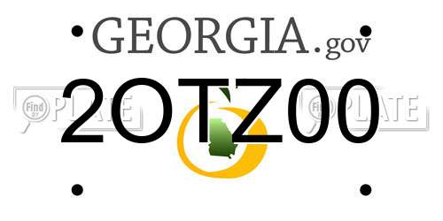 2OTZ00 Georgia License Plate