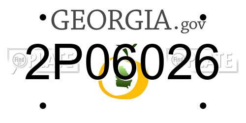 2P06026 Georgia License Plate