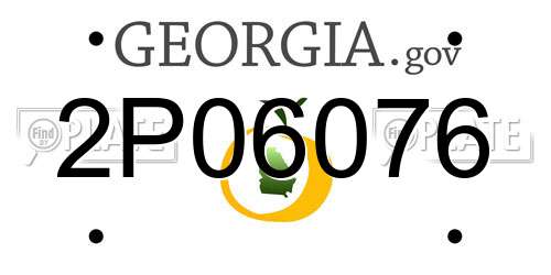 2P06076 Georgia License Plate