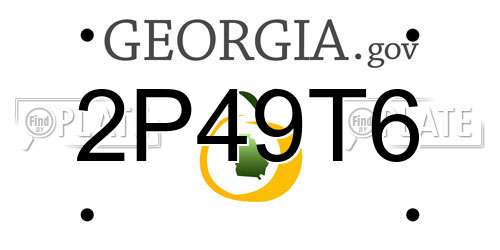 2P49T6 Georgia License Plate