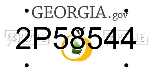 2P58544 Georgia License Plate