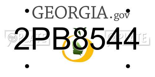 2PB8544 Georgia License Plate