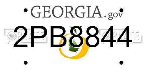 2PB8844 Georgia License Plate
