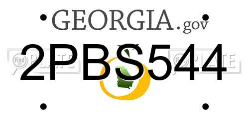 2PBS544 Georgia License Plate