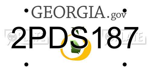 2PDS187 Georgia License Plate