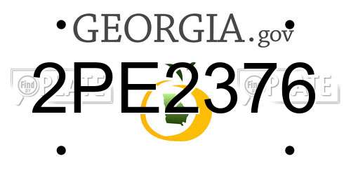 2PE2376 Georgia License Plate