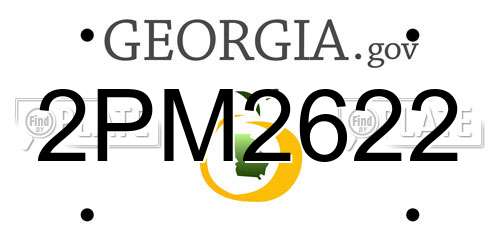 2PM2622 Georgia License Plate