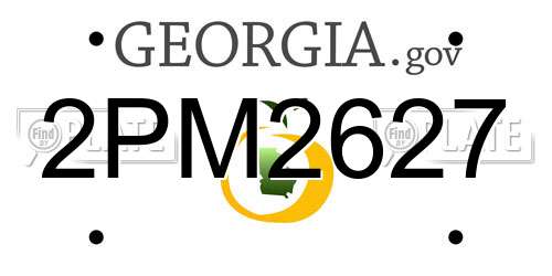 2PM2627 Georgia License Plate