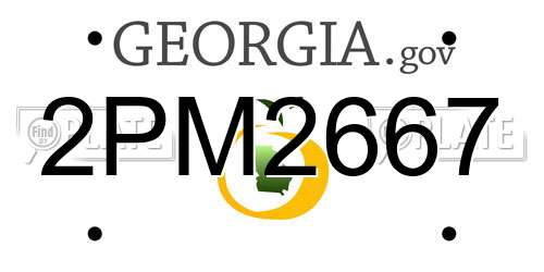 2PM2667 Georgia License Plate