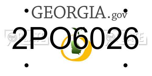 2PO6026 Georgia License Plate