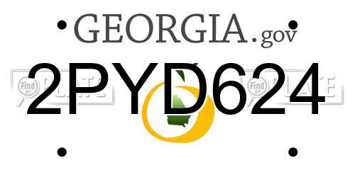 2PYD624 Georgia License Plate
