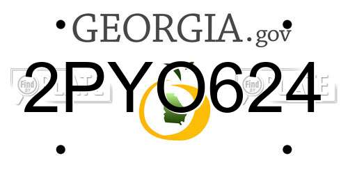 2PYO624 Georgia License Plate