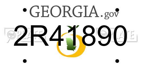 2R41890 Georgia License Plate
