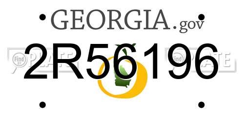 2R56196 Georgia License Plate