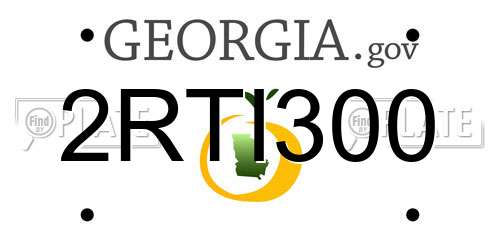 2RTI300 Georgia License Plate