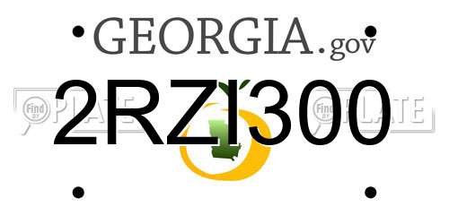 2RZI300 Georgia License Plate