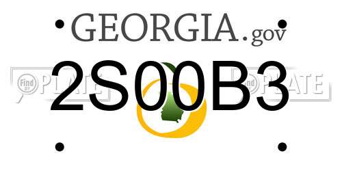 2S00B3 Georgia License Plate