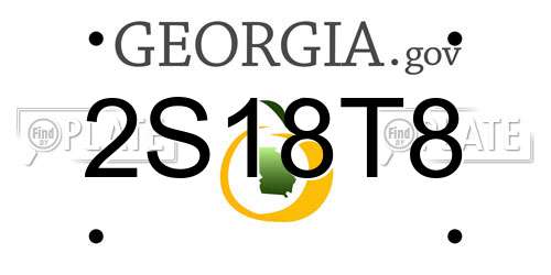 2S18T8 Georgia License Plate