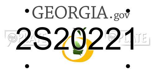2S20221 Georgia License Plate
