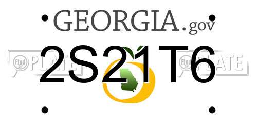 2S21T6 Georgia License Plate
