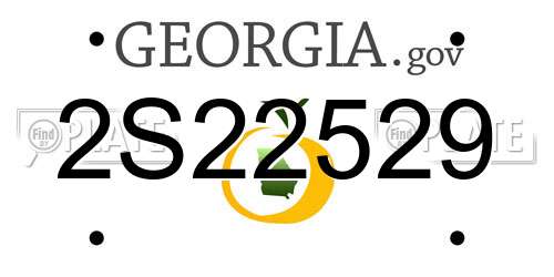 2S22529 Georgia License Plate