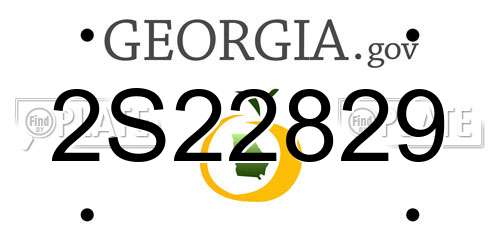 2S22829 Georgia License Plate
