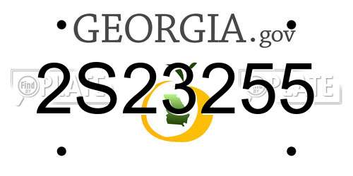 2S23255 Georgia License Plate