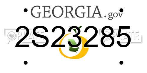2S23285 Georgia License Plate