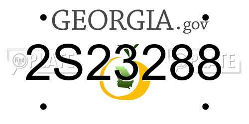 2S23288 Georgia License Plate