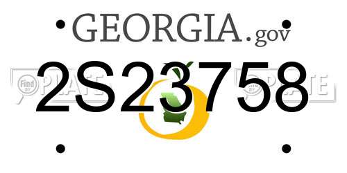 2S23758 Georgia License Plate