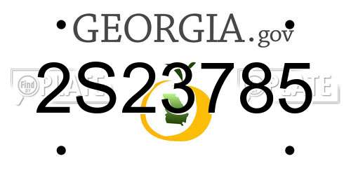 2S23785 Georgia License Plate