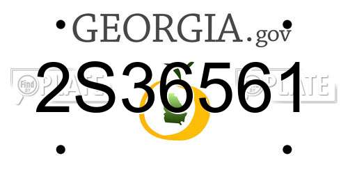 2S36561 Georgia License Plate