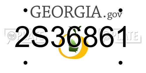 2S36861 Georgia License Plate