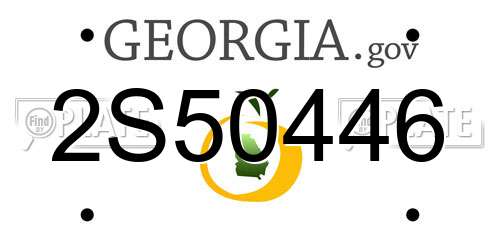 2S50446 Georgia License Plate