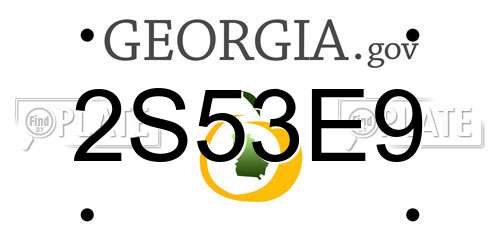 2S53E9 Georgia License Plate