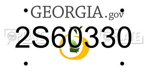 2S60330 Georgia License Plate
